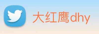 大红鹰dhy Logo
